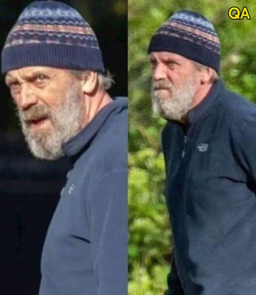 At 62, Hugh Laurie Looks Unrecognizable: What’s Changed?