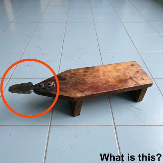 We found this thing in our grandfather’s garage.