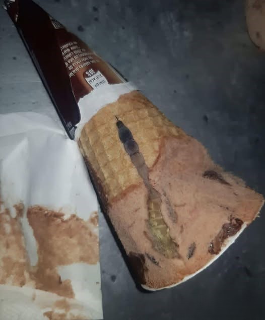 She Took One Bite of Her Ice Cream and Froze When She Saw What Was Hiding Inside
