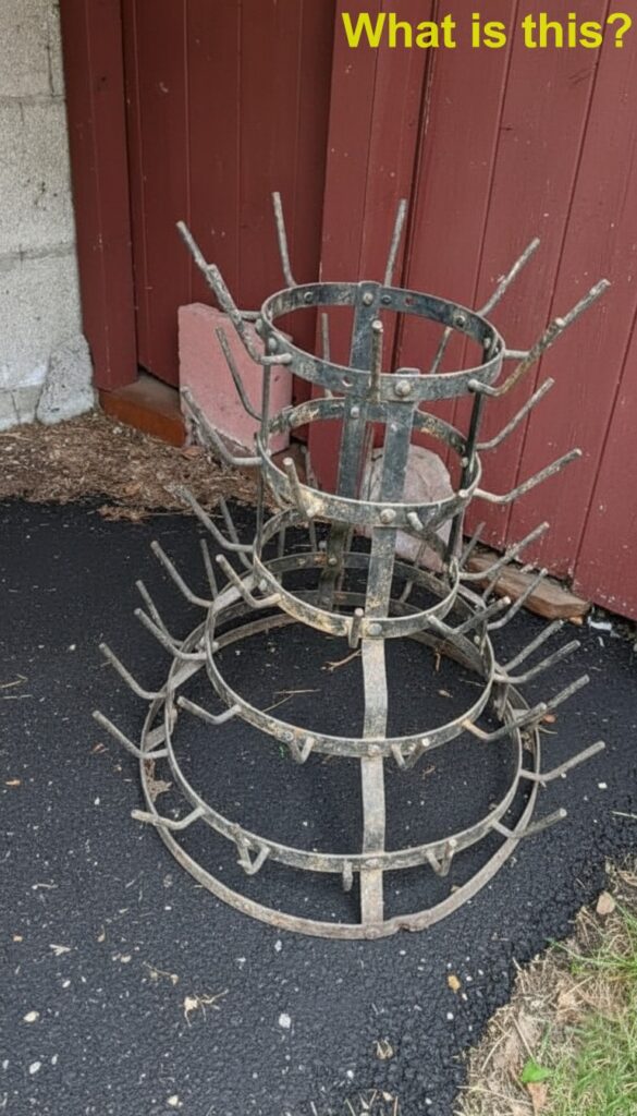 Discovered in a 1907 home. Can you figure out what it is?